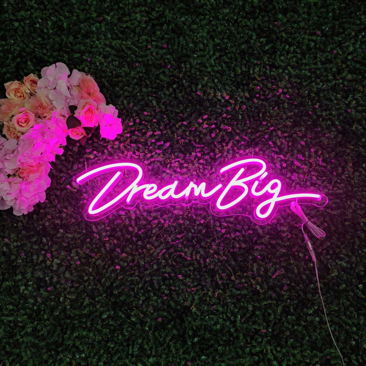 Dream Big Neon Sign